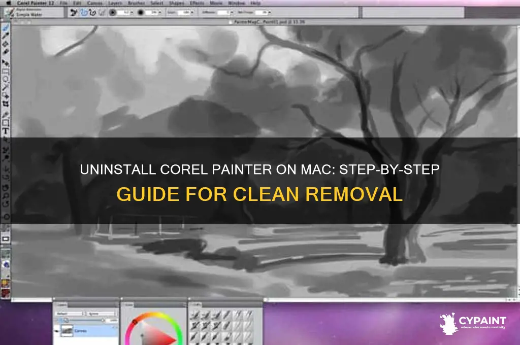 how to uninstall corel painter on a mac