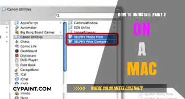 Uninstall Paint 2 on Mac: Quick and Easy Removal Guide