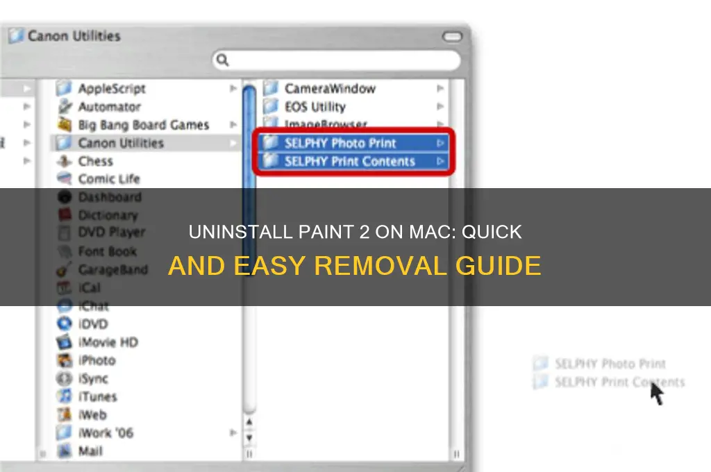 how to uninstall paint 2 on a mac