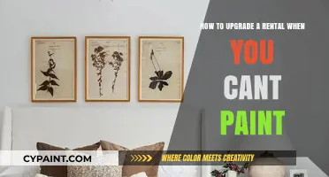 Transform Your Rental: Easy, Paint-Free Upgrade Ideas