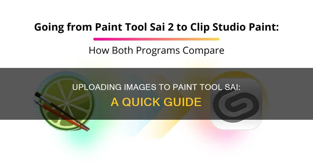 how to upload an image to paint tool sai