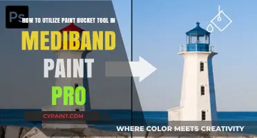 Mastering the Paint Bucket Tool in Mediband Paint Pro