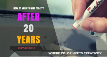 Verifying Paint Toxicity After Two Decades: A Comprehensive Guide