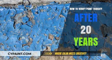 Testing Aged Paint: Safely Verify Toxicity After Two Decades