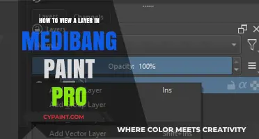 Unlocking Layer Visibility in Medibang Paint Pro