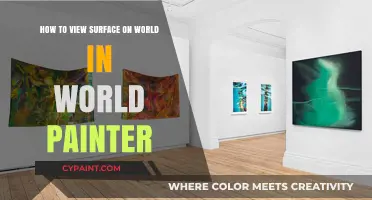 Viewing Surface Details in World Painter