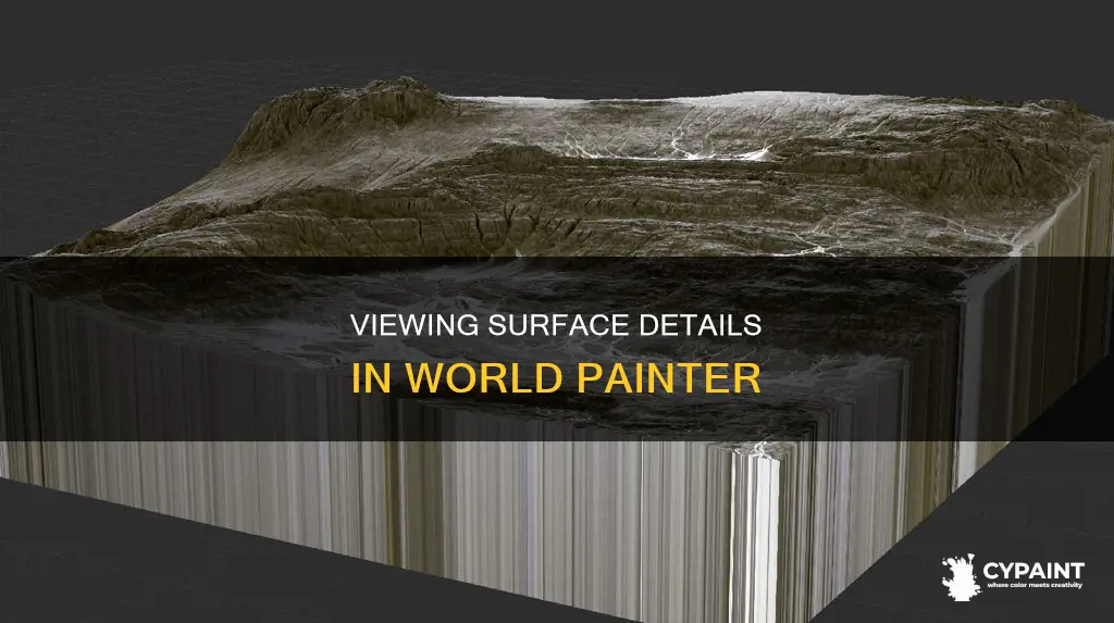 how to view surface on world in world painter