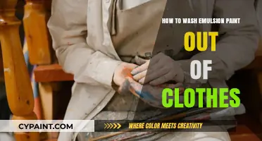 Quick Tips to Remove Emulsion Paint Stains from Clothes Easily