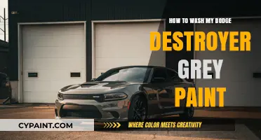 Caring for Your Dodge Destroyer: Grey Paint Washing Guide
