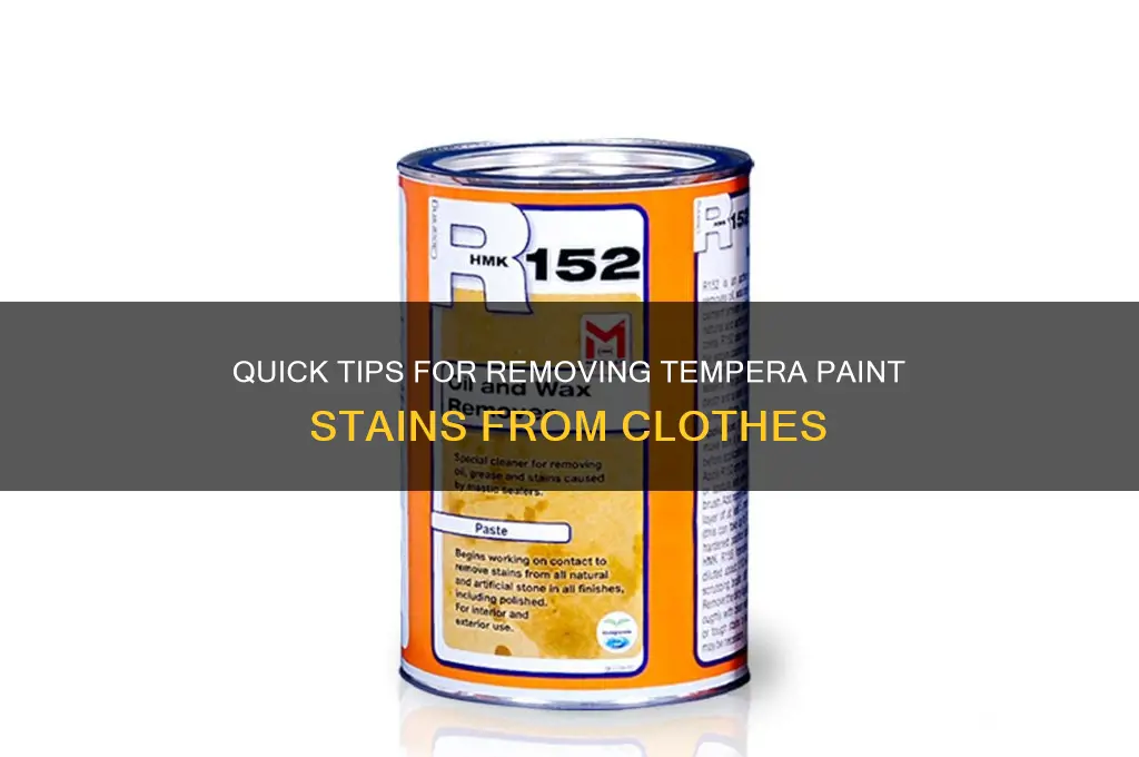 how to wash tempera paint out of clothes