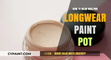 Mastering Mac Pro Longwear Paint Pot: Tips for Flawless Application