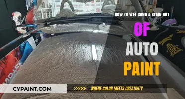 Wet Sanding 101: Removing Stains from Auto Paint Like a Pro