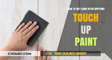 Wet Sanding: The Perfect Touch-Up Paint Finish