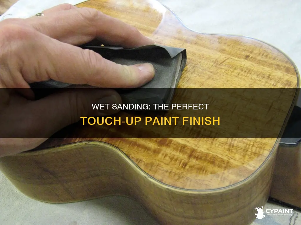 how to wet sand after applying touch up paint