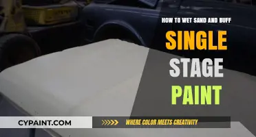 The Ultimate Guide to Wet Sanding and Buffing Single-Stage Paint