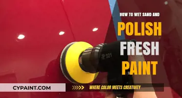 Master Wet Sanding and Polishing Fresh Paint for a Flawless Finish