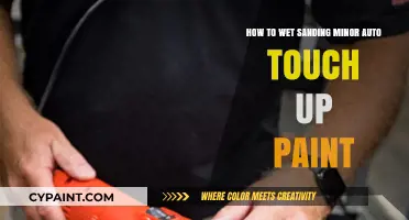 Wet Sanding: Auto Touch-Up Paint Perfection