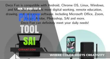 Mastering Text in Paint Tool SAI: Tips for Perfect Wording