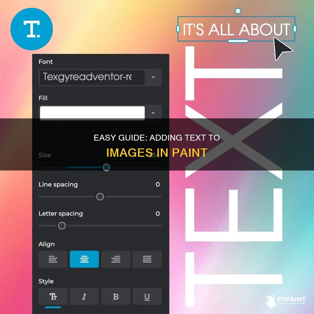 how to write a text on image in paint