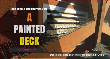 Clean Bird Droppings Off Your Deck Without Damaging Paint