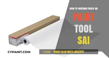 Mastering Canvas Expansion in Paint Tool SAI: A Step-by-Step Guide