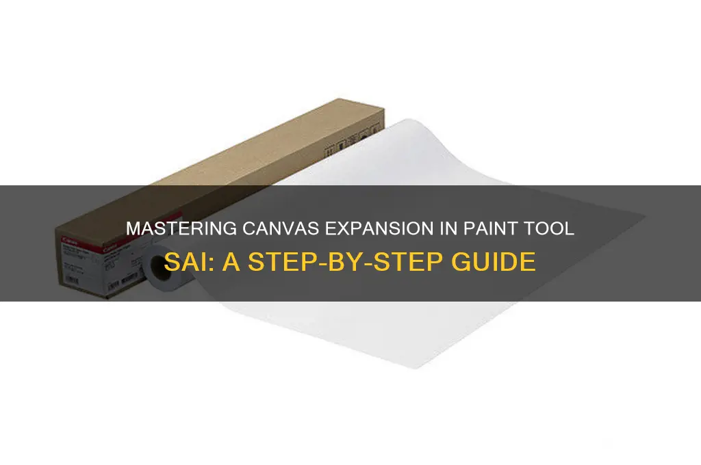 how to wxpand pages on paint tool sai