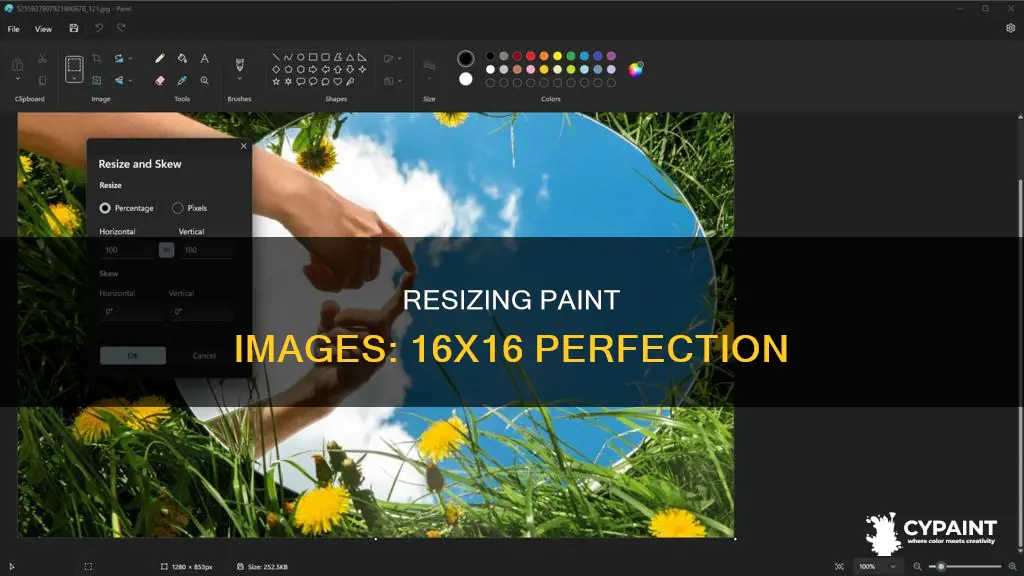 how to you resize a paint image to 16x16