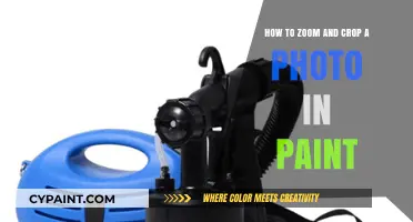 Crop and Zoom Photos Like a Pro with MS Paint