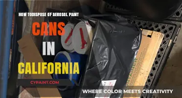 Safe Disposal of Aerosol Paint Cans in California: A Guide