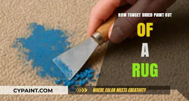 Effective Tips to Remove Dried Paint Stains from Your Rug