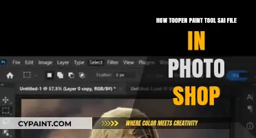 Unlocking Paint Tool SAI Files in Photoshop