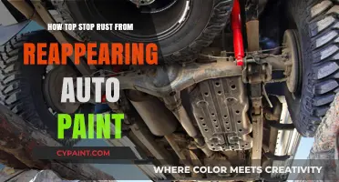 Prevent Rust Reappearance: Effective Auto Paint Protection Tips and Tricks