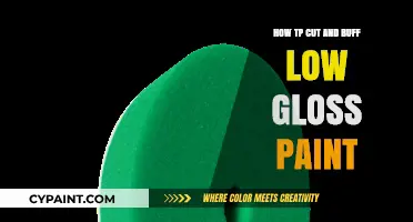 Mastering the Art of Cutting and Buffing Low Gloss Paint