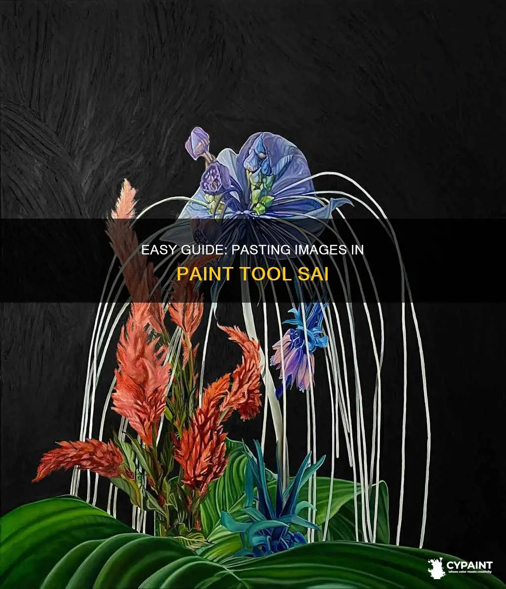 how tpo paste an image in paint tool sai