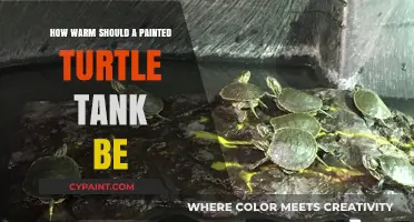 Optimal Painted Turtle Tank Temperature: Creating a Cozy Aquatic Habitat