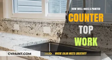 Painted Countertops: Durability, Maintenance, and Real-Life Performance Reviewed