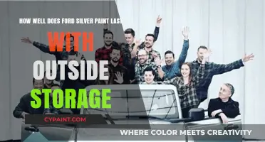 Ford Silver Paint Durability: Outdoor Storage Longevity and Maintenance Tips