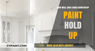 Giani Countertop Paint Durability: Long-Lasting Results or Temporary Fix?