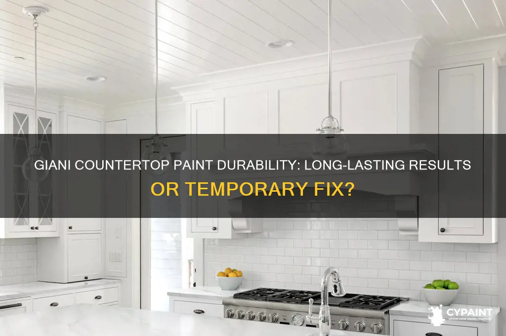 how well does giani countertop paint hold up