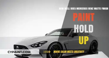 Mercedes-Benz Matte Finish Paint Durability: Longevity and Maintenance Tips