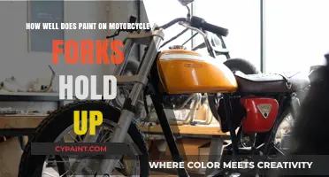 Motorcycle Fork Paint: Does It Last?