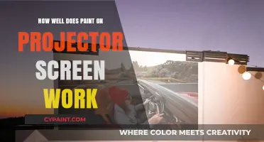 Does Paint-On Projector Screen Deliver Quality Performance? A Detailed Review