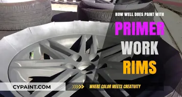 Paint with Primer for Rims: Performance, Durability, and Application Tips