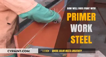 Does Paint with Primer Effectively Coat and Protect Steel Surfaces?
