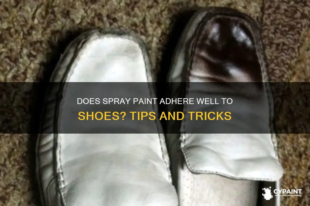 how well does spary paint stick to shoes