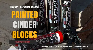 Adhesion of Vinyl on Painted Cinder Blocks