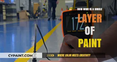 Exploring the Thickness of a Single Paint Layer: How Wide Is It?