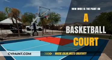 The Basketball Court Paint Job: Width and Dimensions