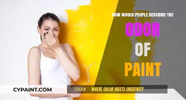 Unveiling the Aromatic Mystery: How People Describe the Odor of Paint