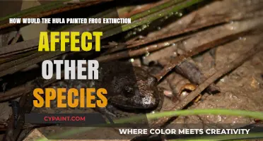 Hula Painted Frog Extinction: Ripple Effects on Ecosystem and Species